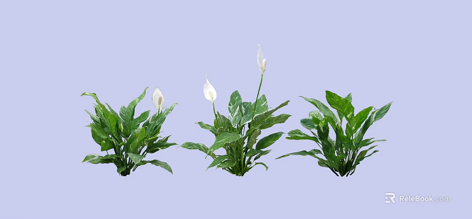 Lush Shrub with Green Leaves and White Flowers in Garden Landscape 3d model 