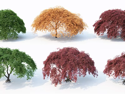 Multiple Colored Arbor Trees With Green Orange Red Foliage And Diverse Shapes 3d model