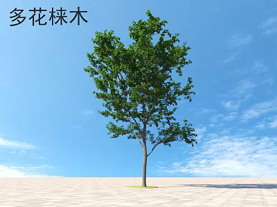 Single Arbor With Green Leaves And Brown Trunk Standing Under Blue Sky On Open Ground 3d model
