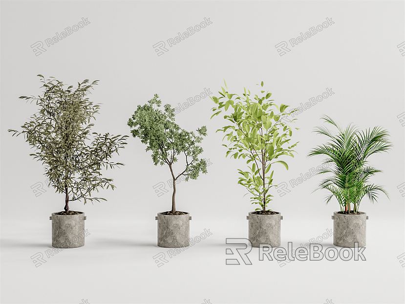 Modern potted plant potted landscape tree model