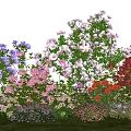 Modern shrubs flowers flowers flower glasses flower bed garden landscape plant combination 3d model