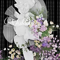 Elegant Floral Installation with Large White Blooms Purple Pink Flowers and Hanging Decorations