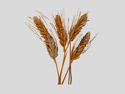 Fresh Wheatgrass Vegetable Bunches With Green Sprouts And Stems 3d model