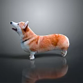 Cute Corgi With Brown And White Fur Standing On Black Background With Reflection
