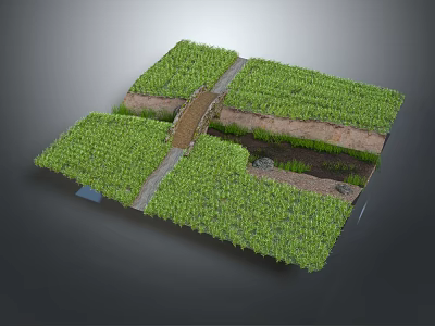 Lush Green Vegetation Natural Scene With Central Pathway And Earthen Edges 3d model