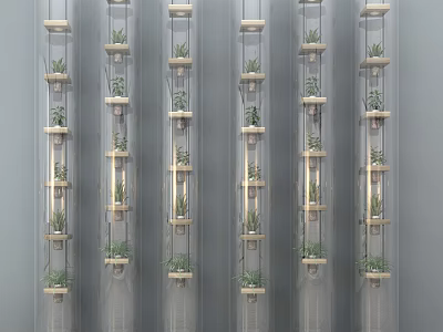 Bonsai Potted Plants Vertical Multiple Layers Transparent Glass Containers Modern Minimalist Gray Wall Background 3d model