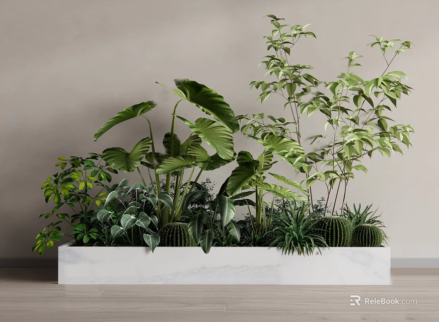 Indoor Green Plants With Large Leaves Small Shrubs And Cactus In White Marble Planter 3d model 