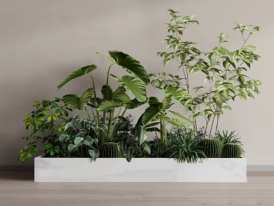 Indoor Green Plants With Large Leaves Small Shrubs And Cactus In White Marble Planter 3d model
