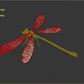 Close Up View Of Dragonfly With Transparent Wings Green Eyes And Orange Body