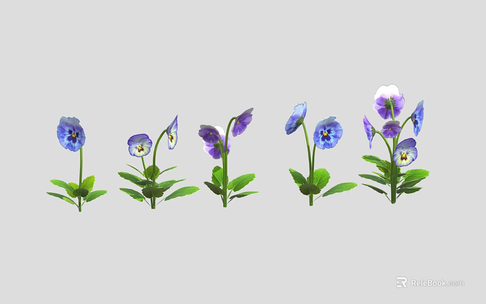 Vibrant purple and blue pansies with fresh green leaves arranged in a row 3d model 