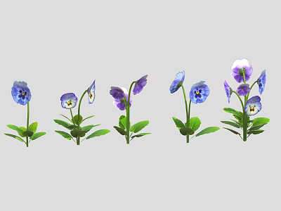 Vibrant purple and blue pansies with fresh green leaves arranged in a row 3d model