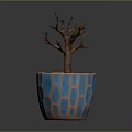 Potted Leafless Tree Plant In Blue Brown Geometric Pattern Pot With Gray Background