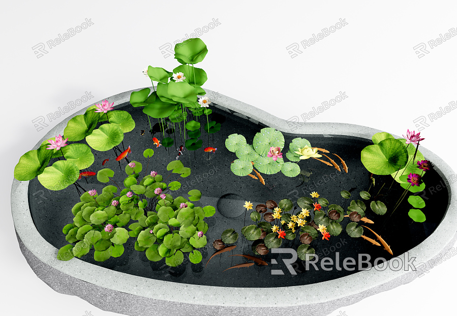 modern lotus lotus water lily aquatic plant model