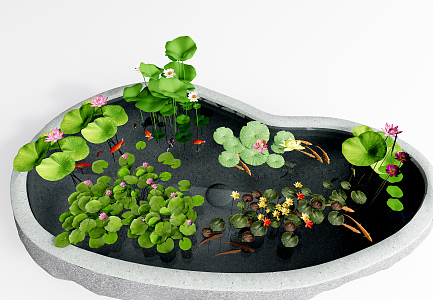 modern lotus water lily aquatic plant 3d model