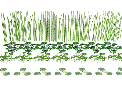 Different Types of Aquatic Plants Including Reedy Stems Floating Leaves and Small White Flowers 3d model
