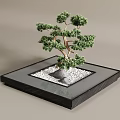 Decorative Bonsai Tree Display On Square Black Base With White Pebbles And Stone 3d model