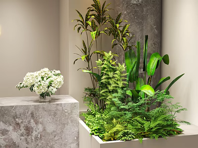 Indoor Flower And Plant Arrangement With White Blooms And Green Foliage On Marble Stand 3d model