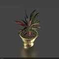 Potted Bonsai Plant With Green And Red Leaves In Golden Decorative Pot
