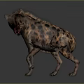 Realistic Hyena 3D Model as Game Movie Character With Detailed Fur Texture