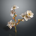 Blooming Dainty White Flowers and Vibrant Orange Buds on Graceful Green Flower Branch