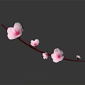 Delicate Pink Blossom Branch with Flowers on Dark Background with Reflections