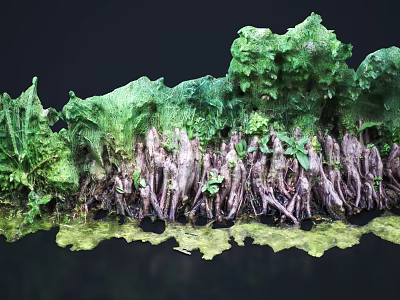 Green Mossy Fern Plants With Exposed Roots And Holes In Natural Wild Setting 3d model