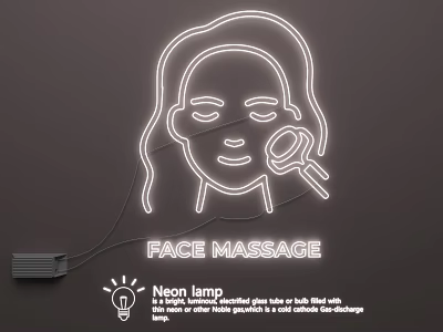 Handcrafted Neon Lighting Combination With Female Face Outline Design And Soft Light For Wall Decor 3d model