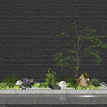 Contemporary Courtyard Garden Featuring Small Tree Green Plants Stones and Landscape Lights on Gravel Ground