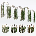 Decorative Garden Arches With Lush Climbing Vines And Wooden Trellis Frames
