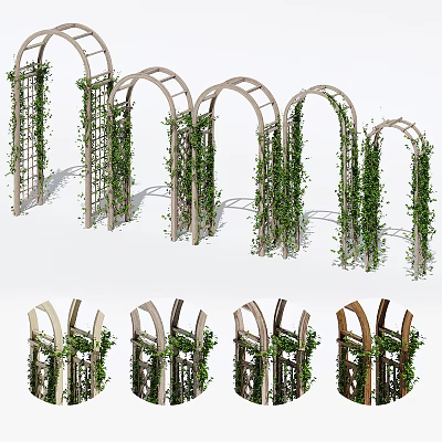 Decorative Garden Arches With Lush Climbing Vines And Wooden Trellis Frames 3d model
