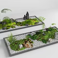 Miniature Garden Decorative Trays With Moss Ferns Pebbles And Rock Formations