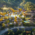 Aerial Planning of Modern Hillside Residential Architecture with Lush Forest Surroundings