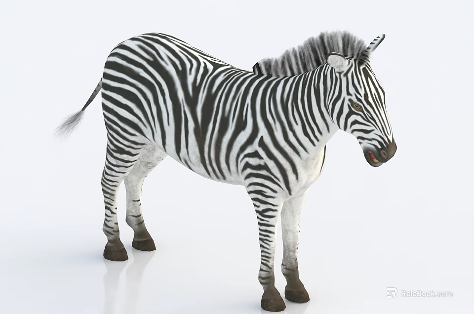 Detailed Zebra 3D Render With Black White Stripes Standing On White Background 3d model