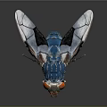 Vibrant Blue Fly With Red Eyes Transparent Patterned Wings And Orange Body