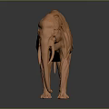 Orange Home Decor Furniture Elephant Model With Detailed Muscle Structure Design