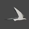 Game Movie Character Flying Black And White Bird With Unique Wing Patterns And Sunlight Glow