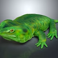 Green Toad 3D Model With Vibrant Green Color Textured Skin And Yellow Eyes