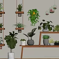 Indoor Hanging Basket Plants With Various Green Species On Wall And Wooden Shelf Decor