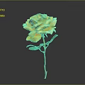 Beautiful Yellow Rose with Green Stem and Leaves on Gray Background