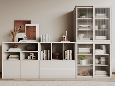 Modern Bookcase Locker model