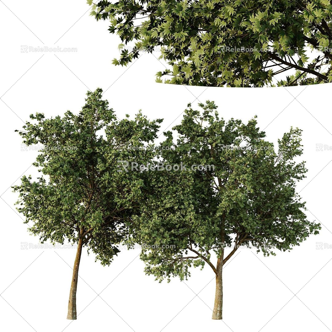 landscape tree 3d model