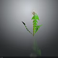 Vibrant Dandelion with Green Leaves and White Fluffy Seed Head on Dark Background with Reflection