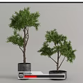 Two Decorative Bonsai Trees in Gray Concrete Pots on White Background 3d model