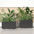 Leafy Green Potted Plants In Black Rectangular Planters With Light Wall And Floor Background 3d model