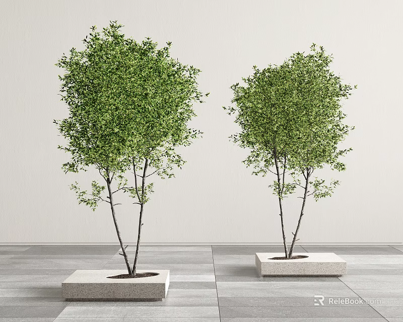 Modern Concrete Tree Planters With Green Trees In Indoor Space 3d model 