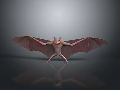3D Bat Character Model With Spread Wings And Pink Body Rendering 3d model
