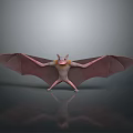 3D Bat Character Model With Spread Wings And Pink Body Rendering 3d model