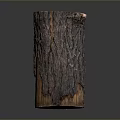 Natural Wooden Log Decorative Home Piece With Rustic Texture And Smooth Cut Surface