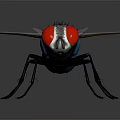 Fly With Red Eyes Blue Body Transparent Wings And Black Legs On Dark Background