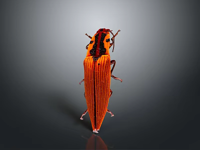Orange Beetle Insect With Striped Exoskeleton And Antennae On Gray Surface 3d model